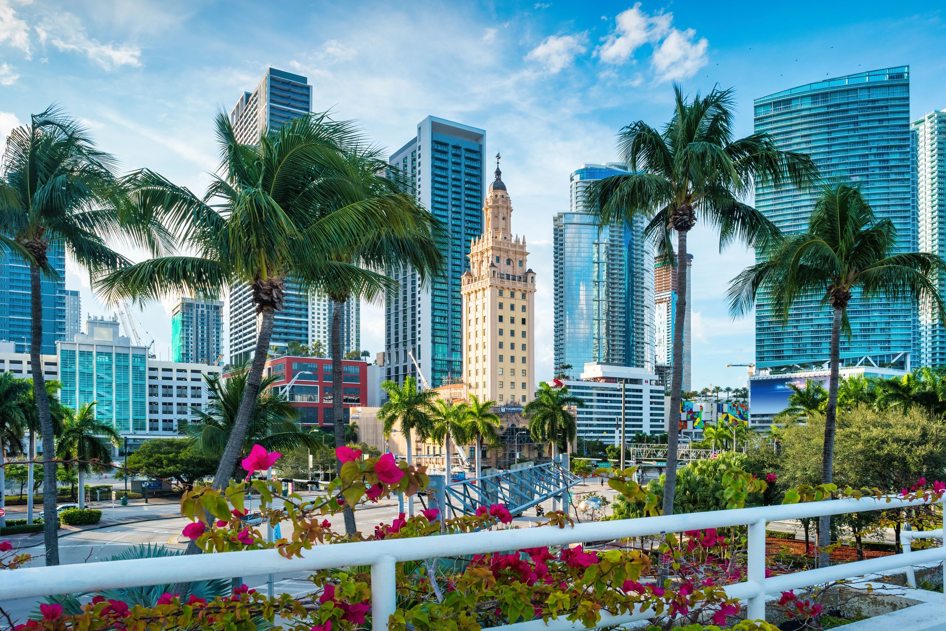 Downtown Miami Skyline Florida